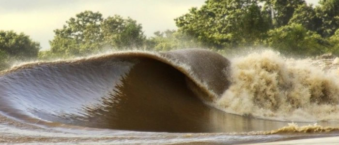 22 fenômenos naturais, quantas você já presenciou? 21