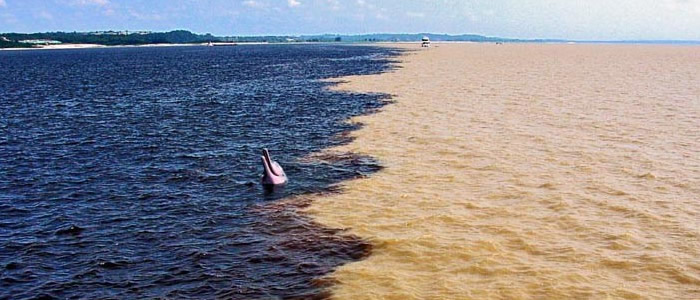 22 fenômenos naturais, quantas você já presenciou? 22