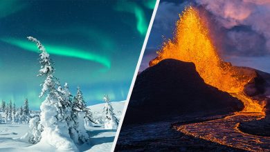 22 fenômenos naturais, quantas você já presenciou? 13