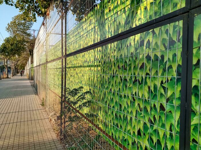 42 fotos da vida real que parecem cenas de videogame ou de filme 2