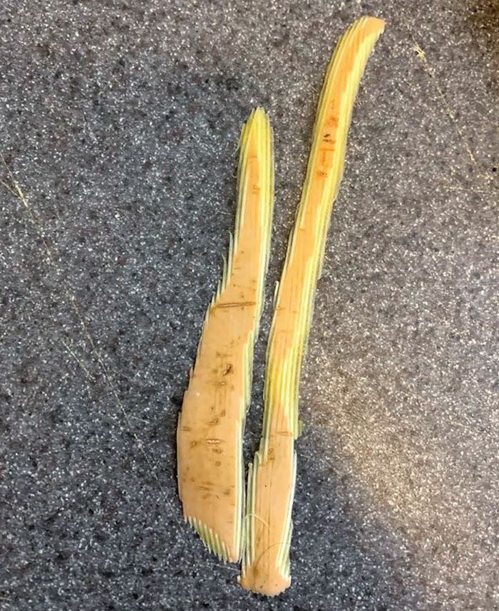 42 fotos da vida real que parecem cenas de videogame ou de filme 26