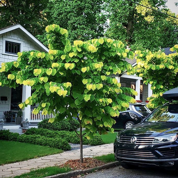 42 fotos da vida real que parecem cenas de videogame ou de filme 37