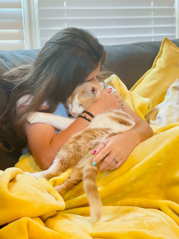 32 fotos de animal de estimação de resgate saudável para curar sua alma edição de setembro 18