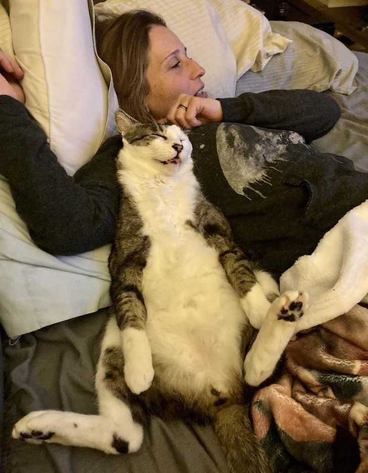 15 fotos que provam que preguiça é uma palavra de 4 pernas 10