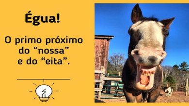 10 gírias brasileiras e seus significado 10