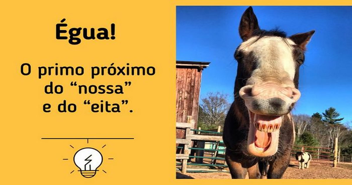 10 gírias brasileiras e seus significado Tediado 10 gírias brasileiras e seus significado Tediado