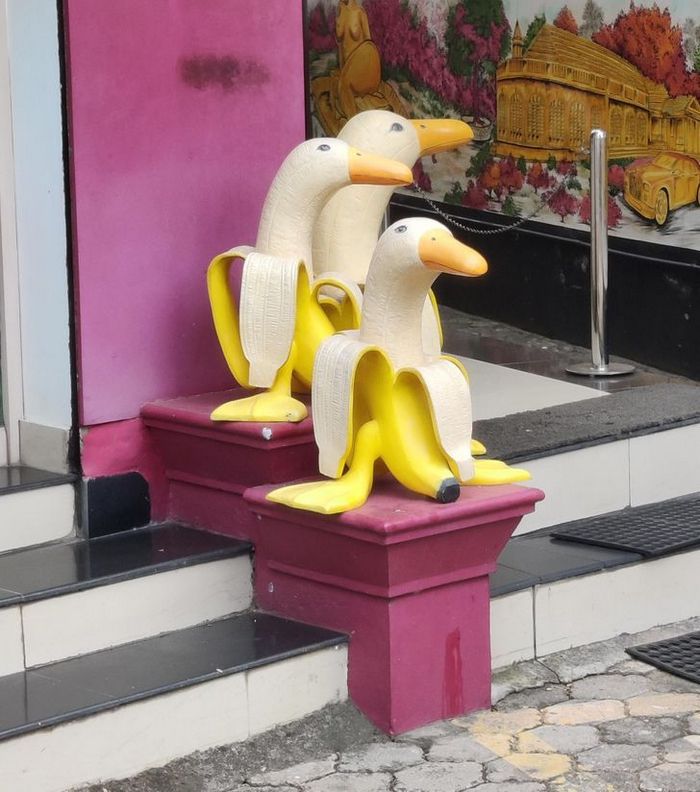 22 invenções mais criativas que você vai ver hoje 10