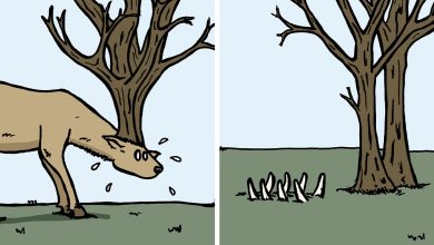 18 quadrinhos simples, mas sombrios com finais inesperados 6