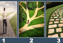 Qual caminho você deve seguir em sua vida? 8