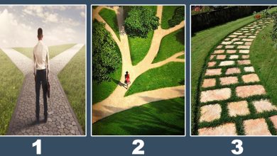 Qual caminho você deve seguir em sua vida? 8
