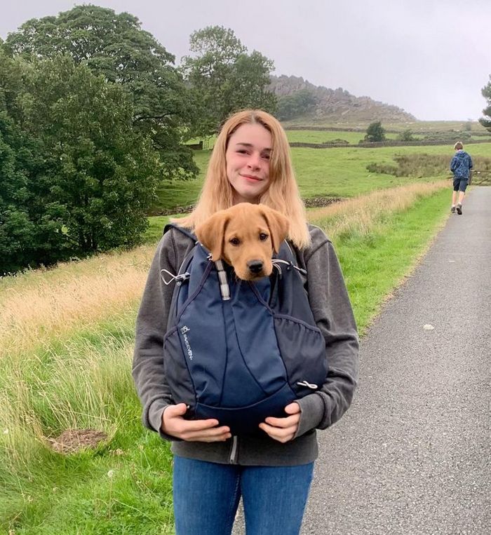 22 reações de animais que fizeram algo pela primeira vez são hilárias 13