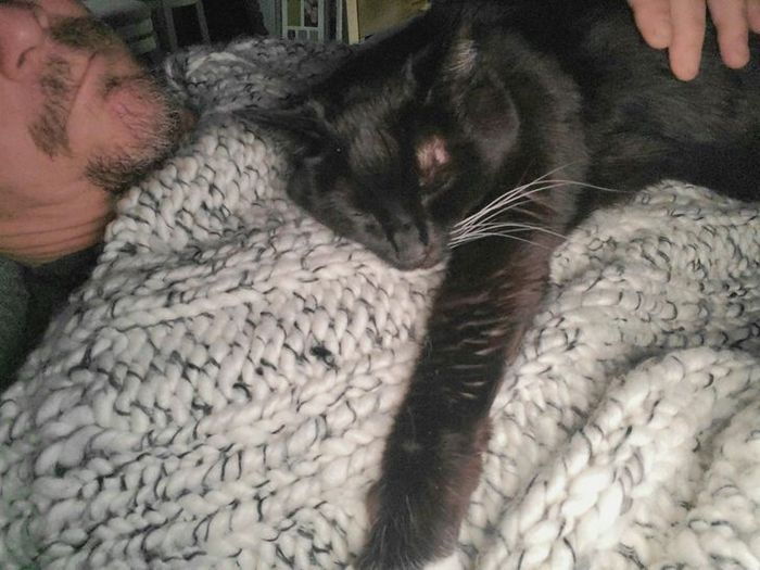 22 reações de animais que fizeram algo pela primeira vez são hilárias 19