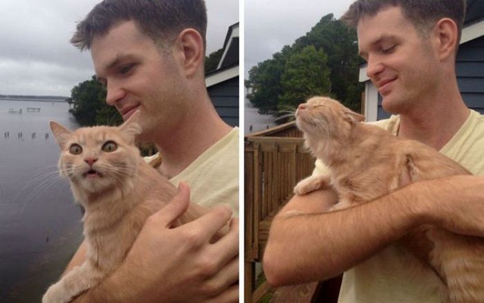 22 reações de animais que fizeram algo pela primeira vez são hilárias 21