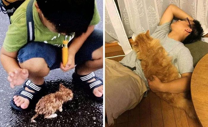 Se você está se sentindo para baixo, essas 21 fotos benéficas podem levantar você 13