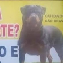 10 placas hilárias feitas por brasileiros