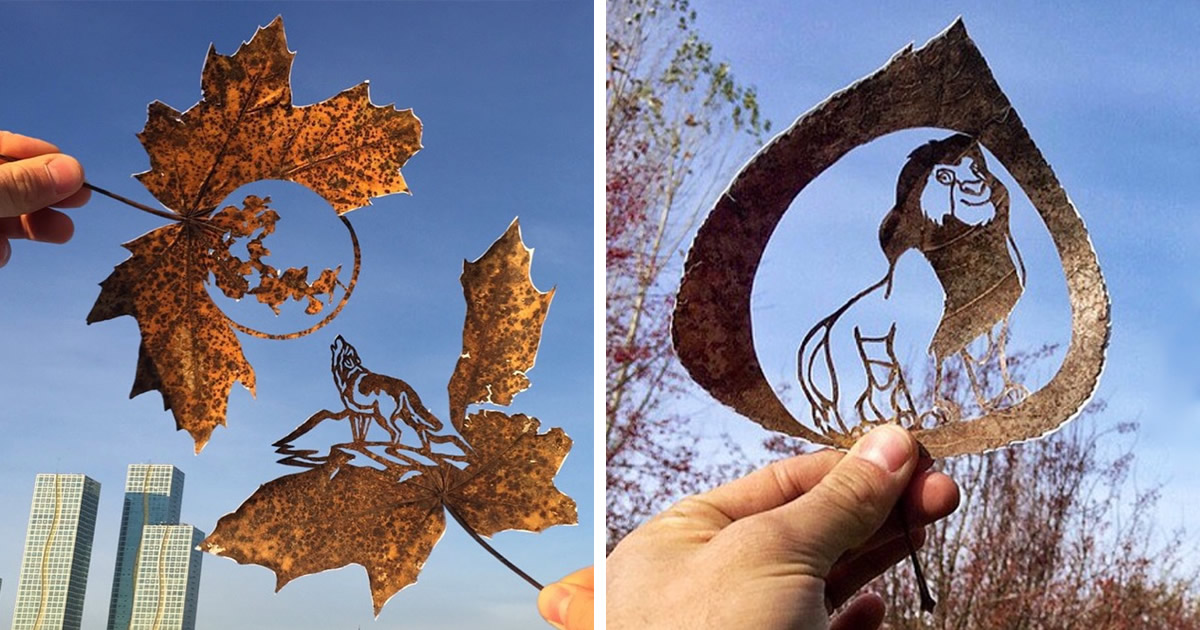 Eu crio desenhos cortando folhas caídas (42 fotos)