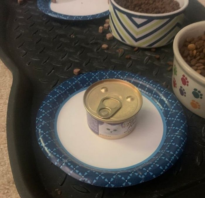 18 filhos que nasceram para levar a paciência dos pais ao próximo nível 13