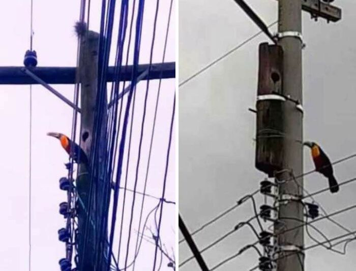 42 fotos que mostram por que o Brasil é um país como nenhum outro 1