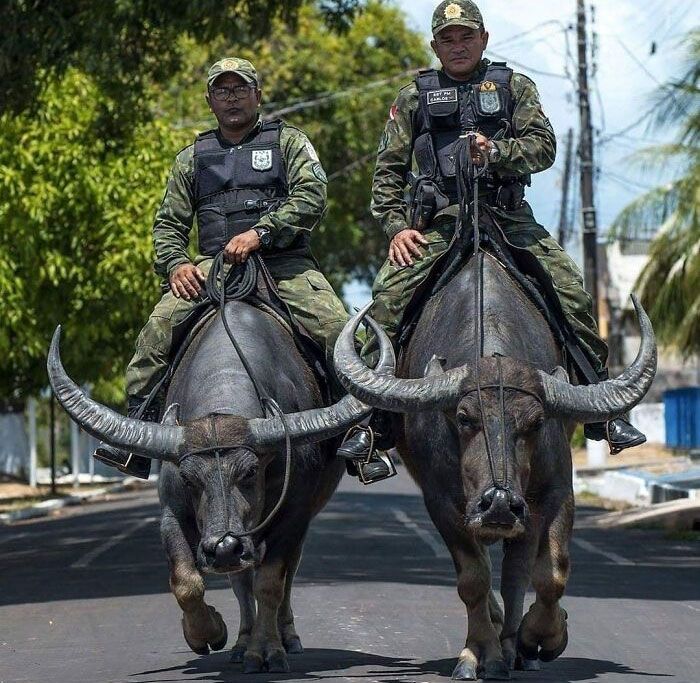 42 fotos que mostram por que o Brasil é um país como nenhum outro 3