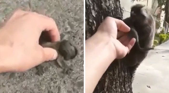 42 fotos que mostram por que o Brasil é um país como nenhum outro 17