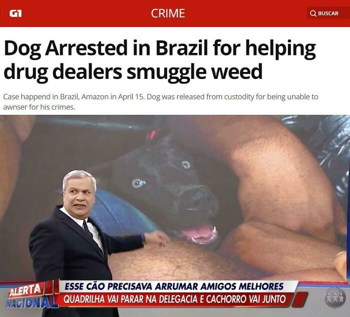 42 fotos que mostram por que o Brasil é um país como nenhum outro 27