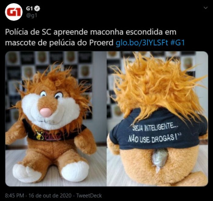 42 fotos que mostram por que o Brasil é um país como nenhum outro 37