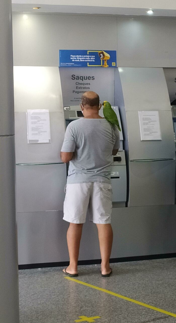 42 fotos que mostram por que o Brasil é um país como nenhum outro 38