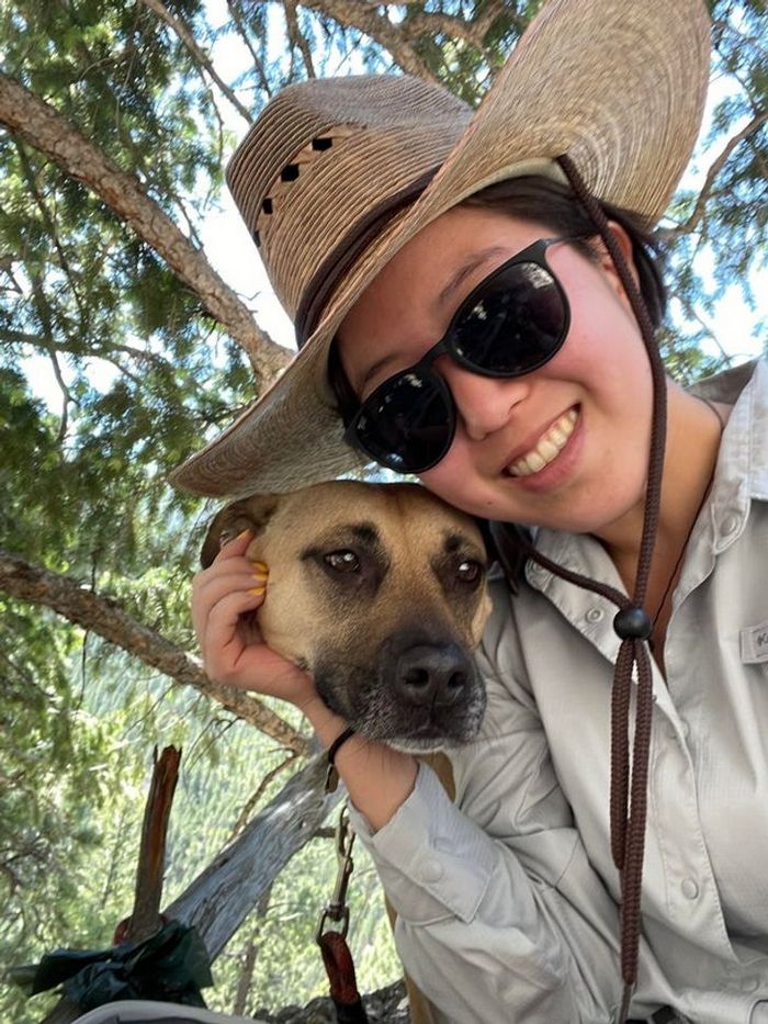 18 Imagens que não são fáceis de compreender à primeira vista 2