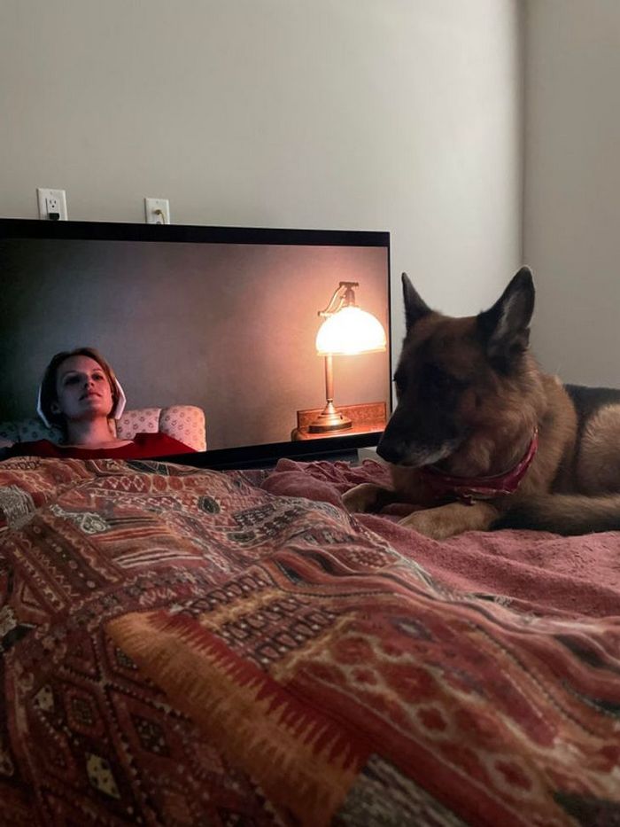 18 Imagens que não são fáceis de compreender à primeira vista 10