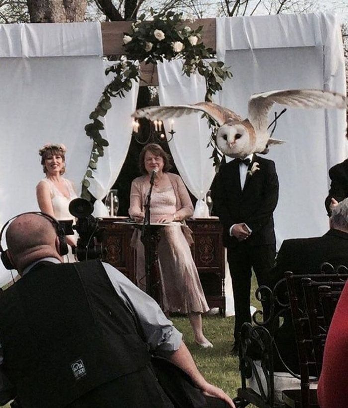 18 Imagens que não são fáceis de compreender à primeira vista 13