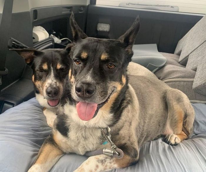 18 Imagens que não são fáceis de compreender à primeira vista 14