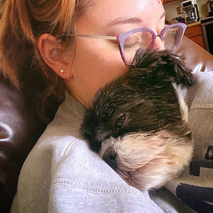 18 animais de estimação que demonstra todo seu amor por seus humanos 3