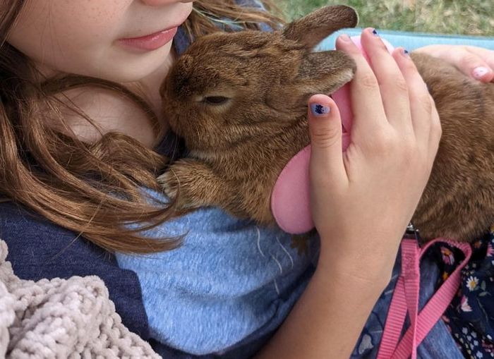 18 animais de estimação que demonstra todo seu amor por seus humanos 6