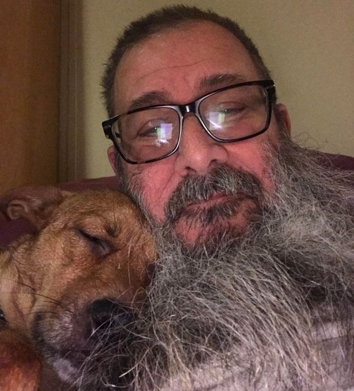 18 animais de estimação que demonstra todo seu amor por seus humanos 8