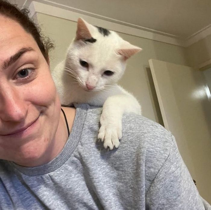 18 animais de estimação que demonstra todo seu amor por seus humanos 9