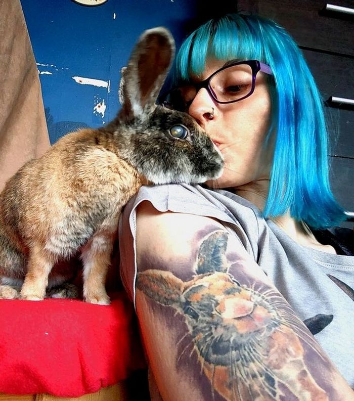 18 animais de estimação que demonstra todo seu amor por seus humanos 16