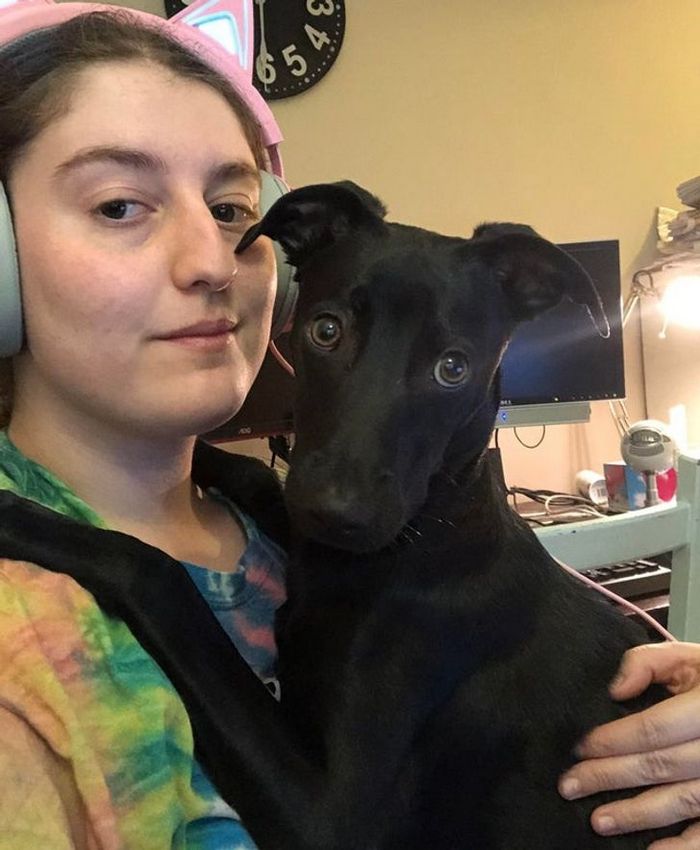 18 animais de estimação que demonstra todo seu amor por seus humanos 18