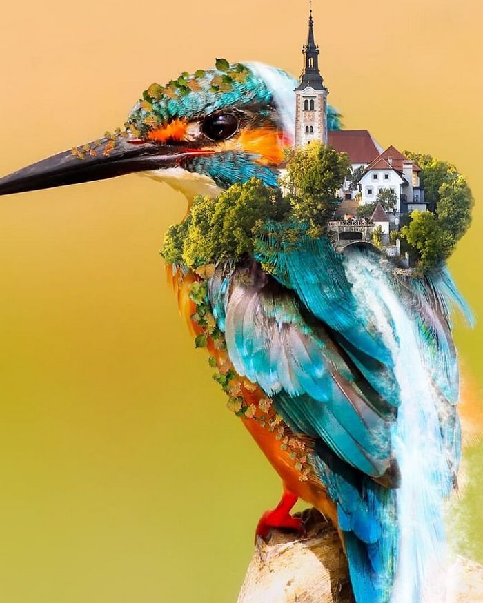 Artista digital desfaz a linha entre realidade e ficção em suas 45 manipulações surreais de fotos 11