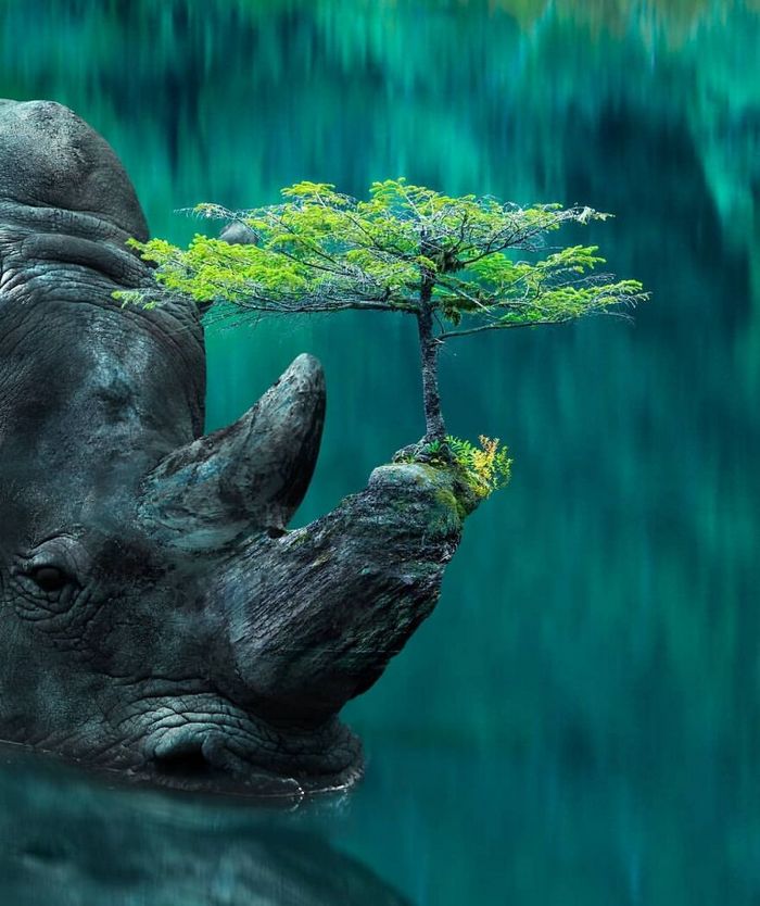 Artista digital desfaz a linha entre realidade e ficção em suas 45 manipulações surreais de fotos 14