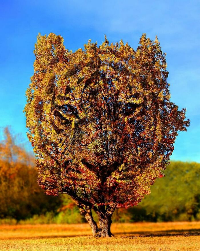 Artista digital desfaz a linha entre realidade e ficção em suas 45 manipulações surreais de fotos 20