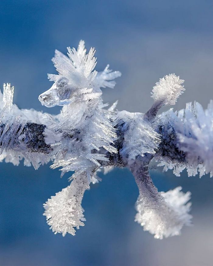 Artista digital desfaz a linha entre realidade e ficção em suas 45 manipulações surreais de fotos 42