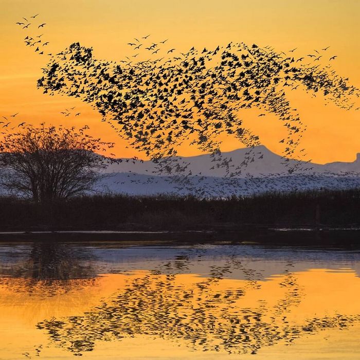 Artista digital desfaz a linha entre realidade e ficção em suas 45 manipulações surreais de fotos 45