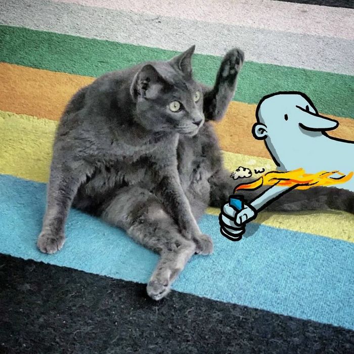 Artista invade fotos de estranhos no Instagram adicionando suas ilustrações hilariantes (45 fotos) 1