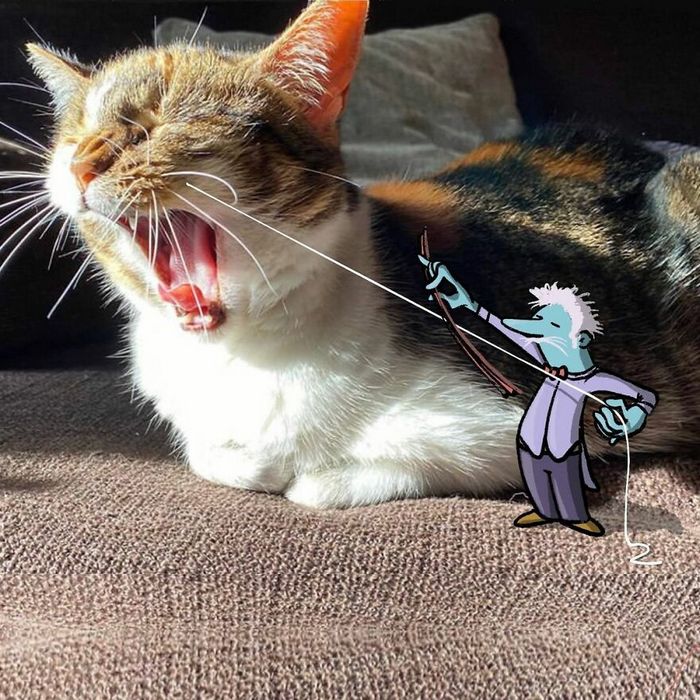 Artista invade fotos de estranhos no Instagram adicionando suas ilustrações hilariantes (45 fotos) 13