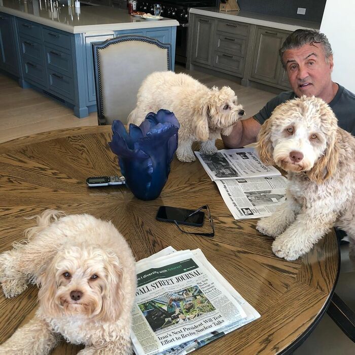 36 celebridades que são amantes de cachorros 3