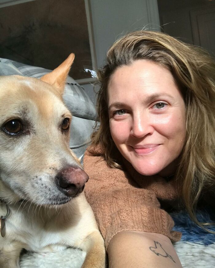 36 celebridades que são amantes de cachorros 10