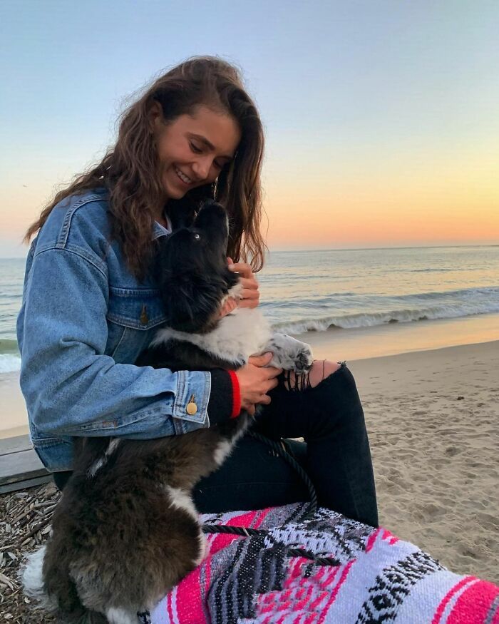 36 celebridades que são amantes de cachorros 14