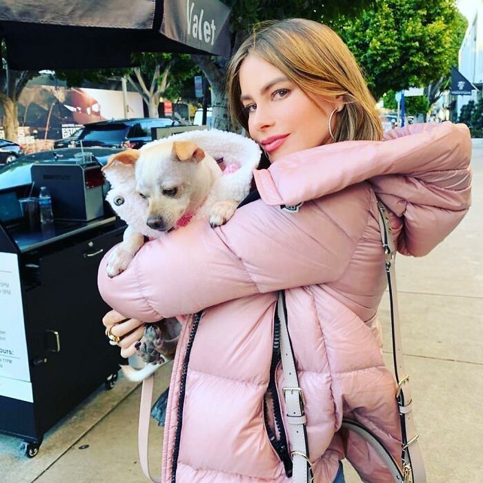 36 celebridades que são amantes de cachorros 17