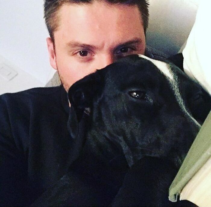 36 celebridades que são amantes de cachorros 18