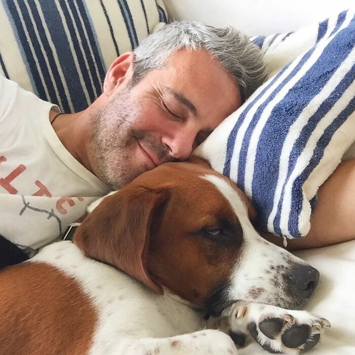 36 celebridades que são amantes de cachorros 20